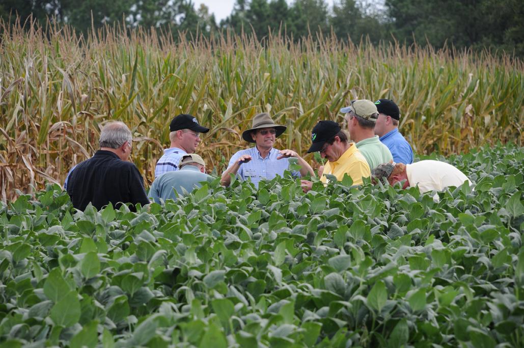 group of men scouting in a field