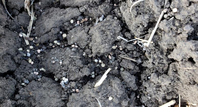 尿素经氮稳定剂处理后5天在土壤表面 