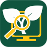 An app icon with a green background. 还有黄色的电脑屏幕、放大镜和白色的植物.